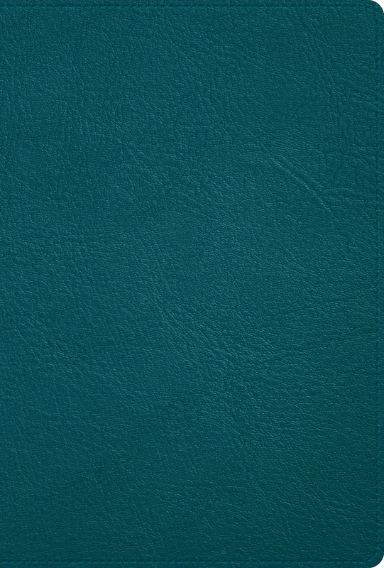 B&H Espanol RVR 1960 Biblia Deluxe - Piel Genuina Verde