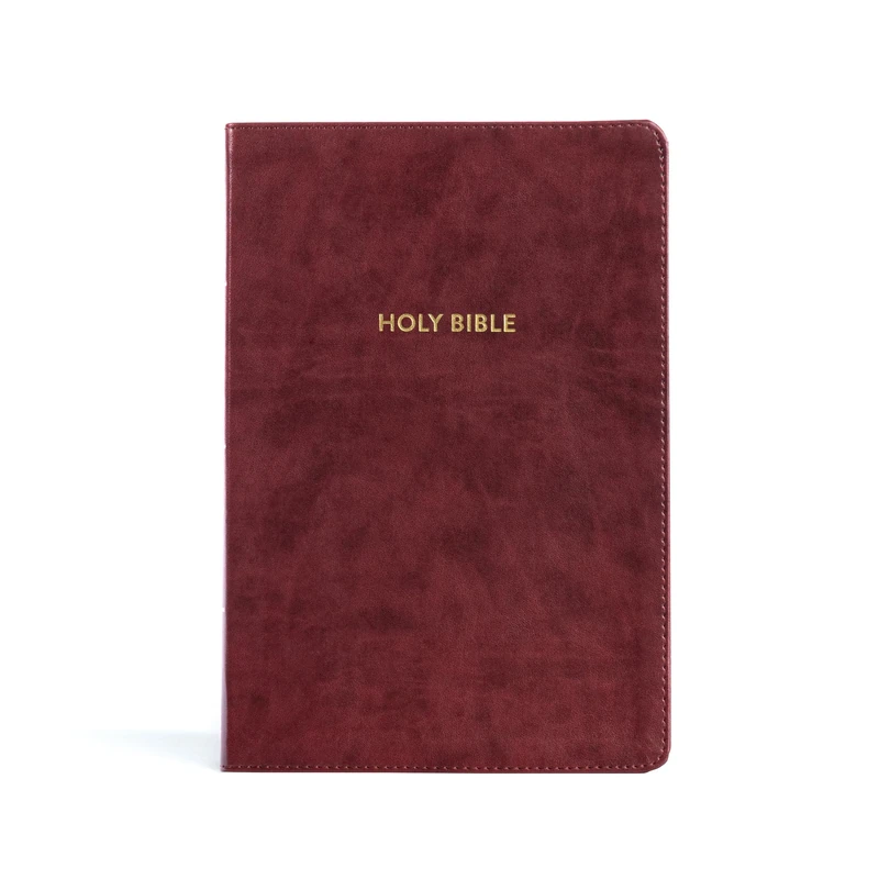 KJV Rainbow Study Bible, Burgundy LeatherTouch, Indexed: King James Version, Rainbow Study Bible, Burgundy, Leathertouch