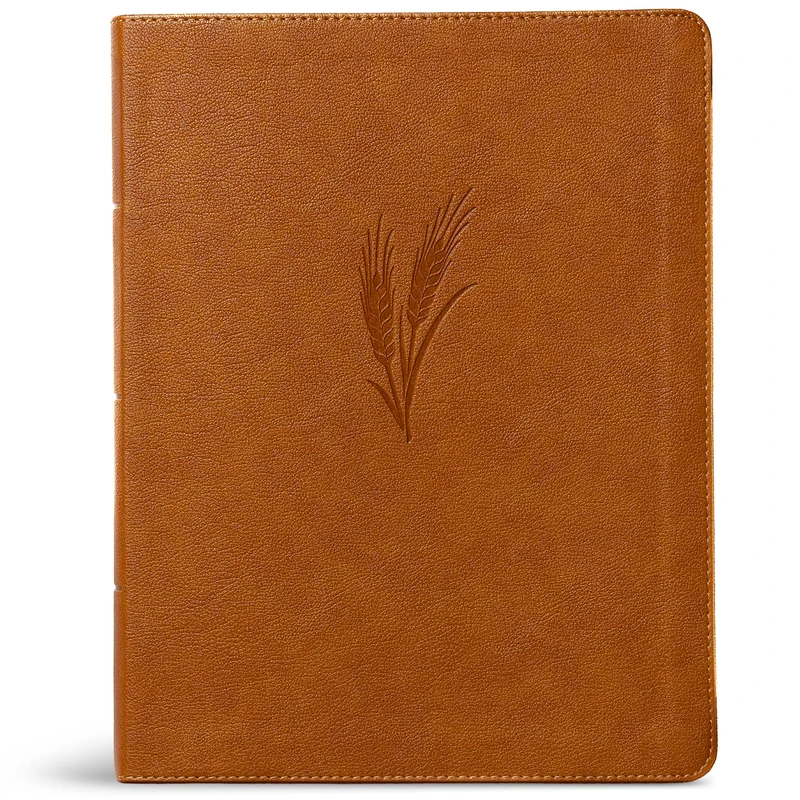 CSB Notetaking Bible, Large Print Edition, Camel Leathertouch: Christian Standard Bible, Camel Leathertouch, Notetaking Bible, Large Print, Topical Subject Headings, Concordance, Full-Color Maps