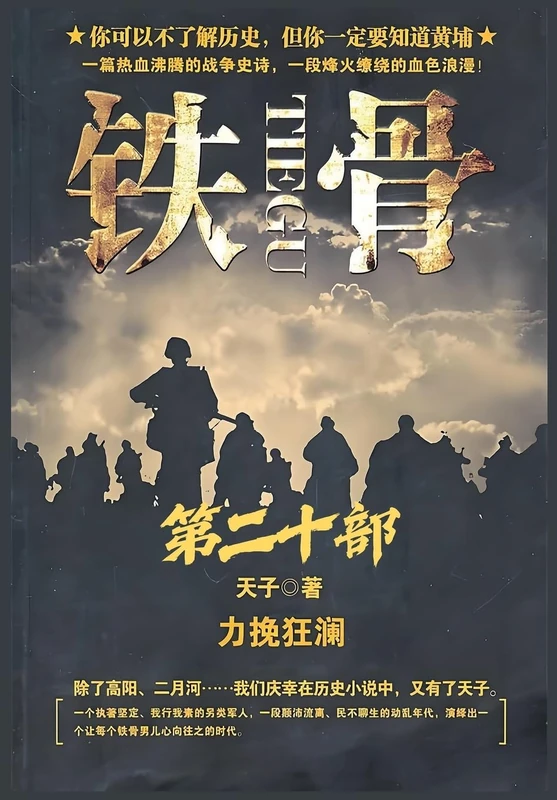 铁骨:第二十部