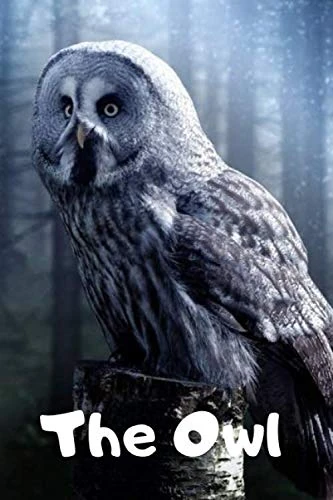 The Owl: Animal Notebook for kids, Notebook For Drawing and Writing ( Colorful &Cartoon Cover, 110 Pages, Blank, 6 x 9)