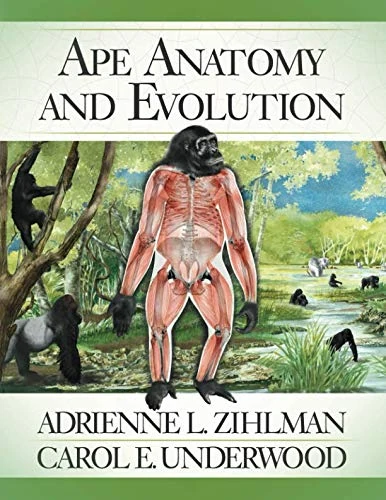 Ape Anatomy and Evolution