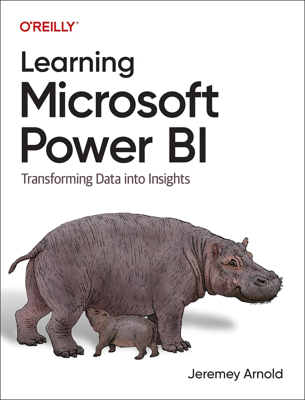 Learning Microsoft Power Bi: Transforming Data Into Insights - Image 1