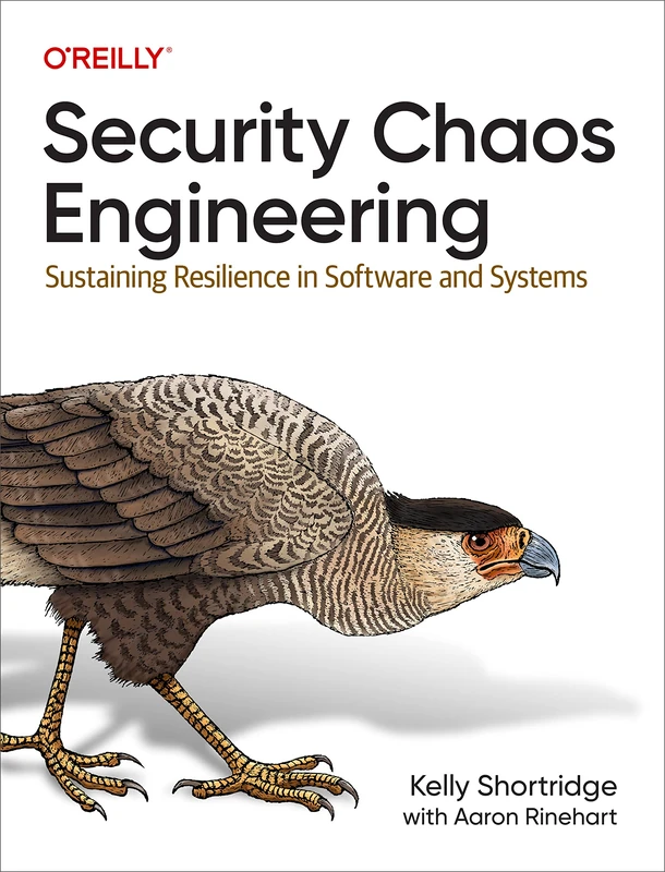 Security Chaos Engineering: Developing Resilience and Safety at Speed and Scale - Image 1