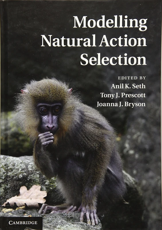 Modelling Natural Action Selection - Image 1