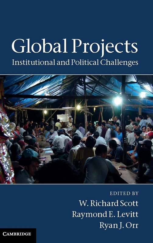 Global Projects: Institutional and Political Challenges