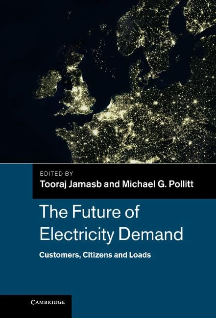 The Future of Electricity Demand: Customers, Citizens and Loads: 69 (Department of Applied Economics Occasional Papers)