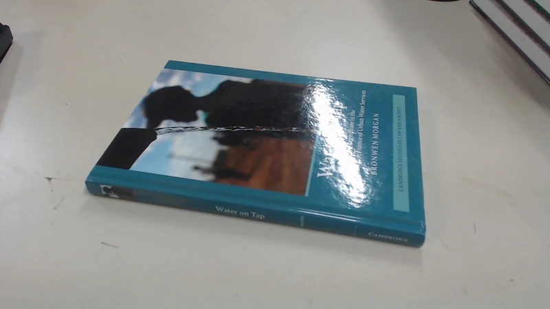 Water on Tap: Rights and Regulation in the Transnational Governance of Urban Water Services (Cambridge Studies in Law and Society)