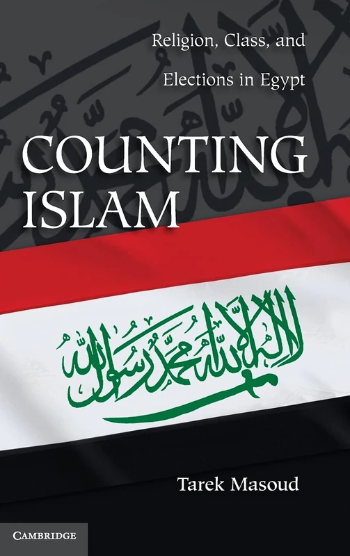 Counting Islam: Religion, Class, and Elections in Egypt (Problems of International Politics)