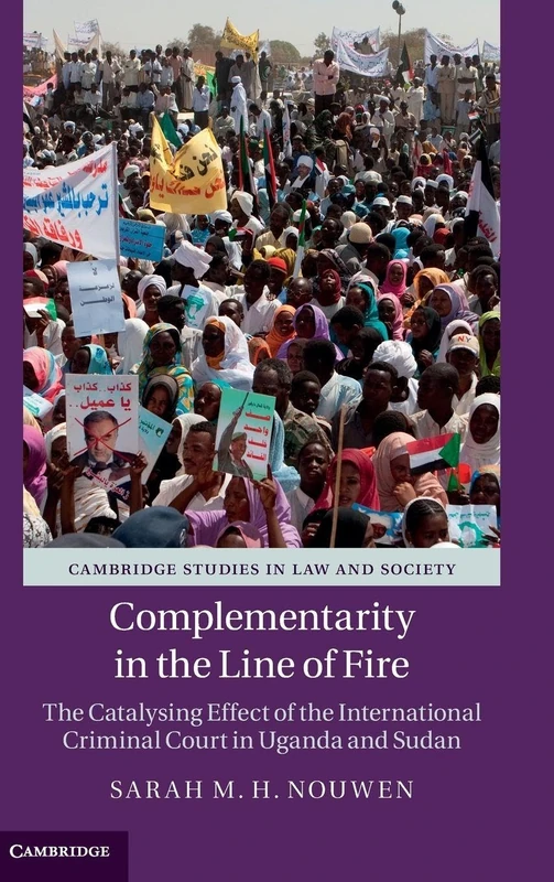 Complementarity in the Line of Fire - Cambridge University Press