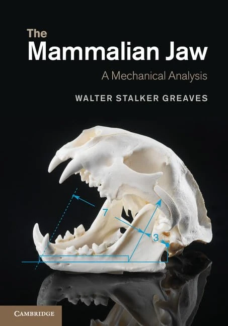 The Mammalian Jaw: A Mechanical Analysis - Cambridge Press
