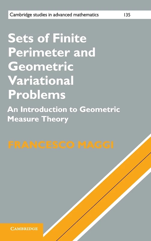 Sets of Finite Perimeter and Geometric Variational Problems: An Introduction to Geometric Measure Theory: 135 (Cambridge Studies in Advanced Mathematics, Series Number 135)