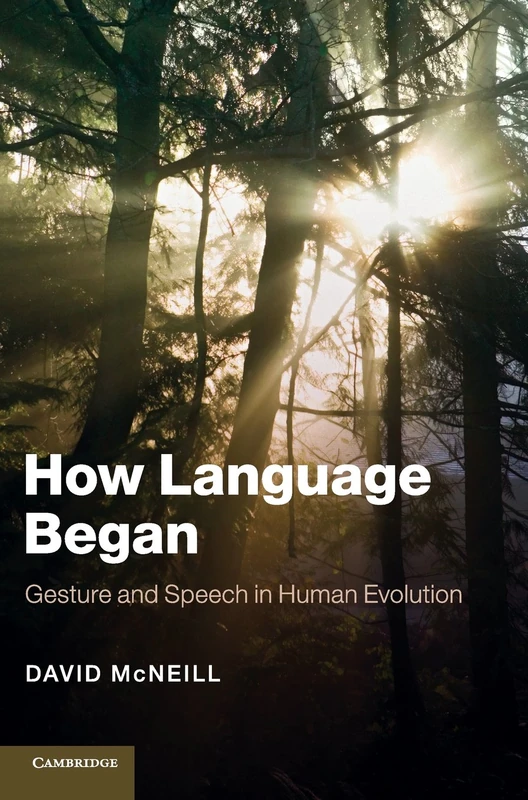 How Language Began: Gesture and Speech in Human Evolution (Approaches to the Evolution of Language) - Image 1