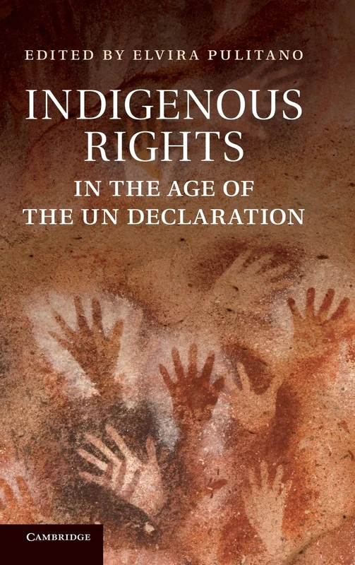 Indigenous Rights in the Age of the UN Declaration