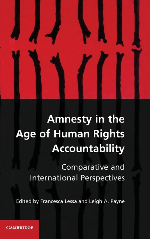 Amnesty in the Age of Human Rights Accountability: Comparative and International Perspectives