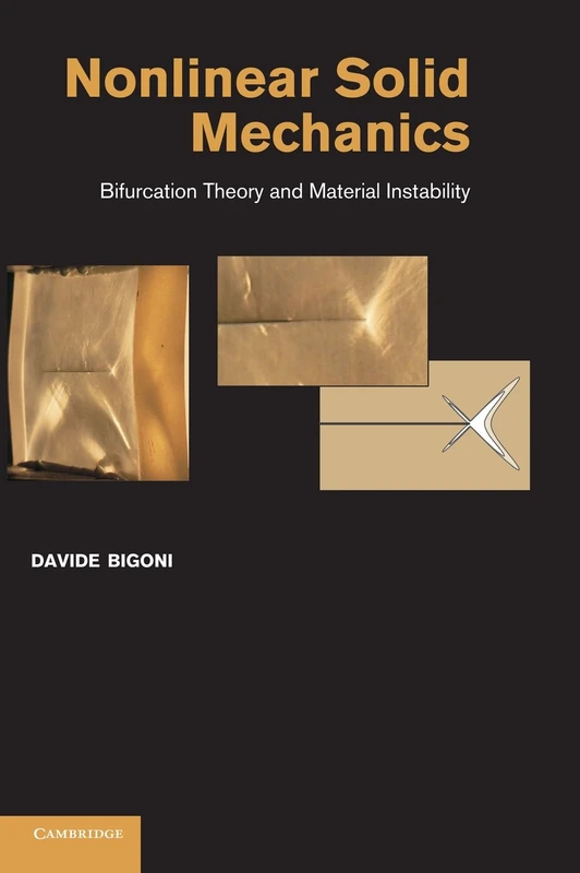 Nonlinear Solid Mechanics: Bifurcation Theory and Material Instability - Image 1