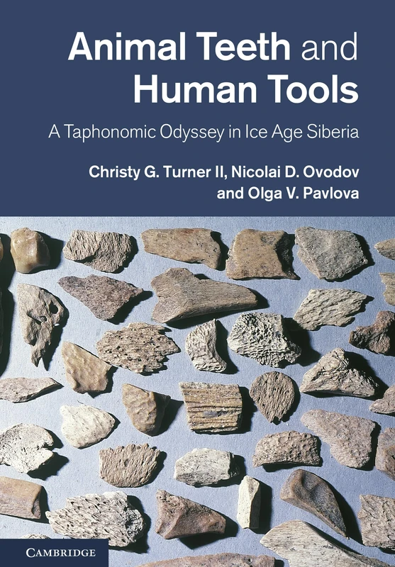 Animal Teeth and Human Tools: A Taphonomic Odyssey in Ice Age Siberia