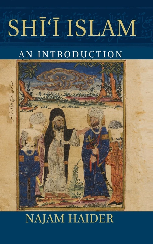 Shi'i Islam: An Introduction (Introduction to Religion)