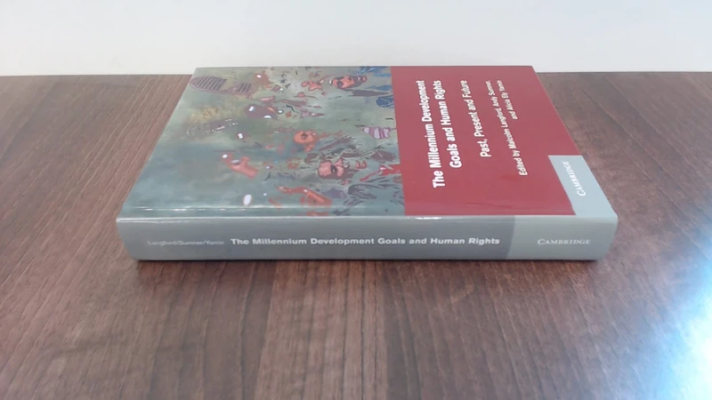 The Millennium Development Goals and Human Rights: Past, Present and Future