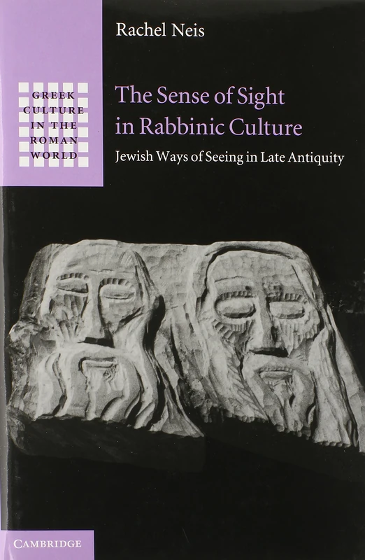 The Sense of Sight in Rabbinic Culture: Jewish Ways of Seeing in Late Antiquity (Greek Culture in the Roman World)