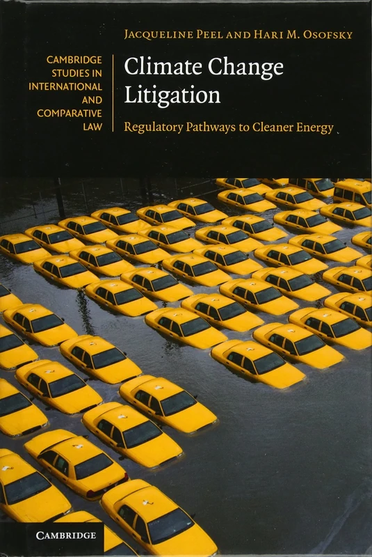 Climate Change Litigation: Regulatory Pathways to Cleaner Energy: 116 (Cambridge Studies in International and Comparative Law, Series Number 116)