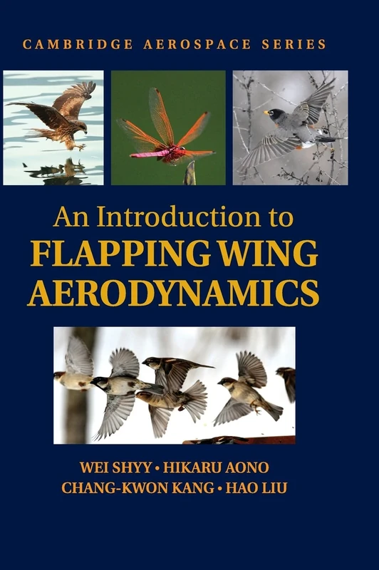 An Introduction to Flapping Wing Aerodynamics: 37 (Cambridge Aerospace Series, Series Number 37)