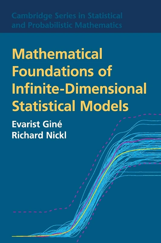 Mathematical Foundations of Infinite-Dimensional Statistical Models: 40 (Cambridge Series in Statistical and Probabilistic Mathematics, Series Number 40)