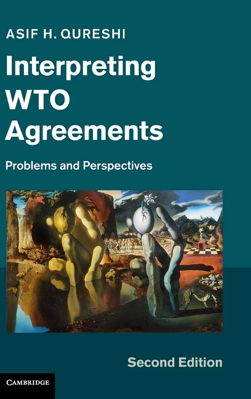 Interpreting WTO Agreements: Problems and Perspectives