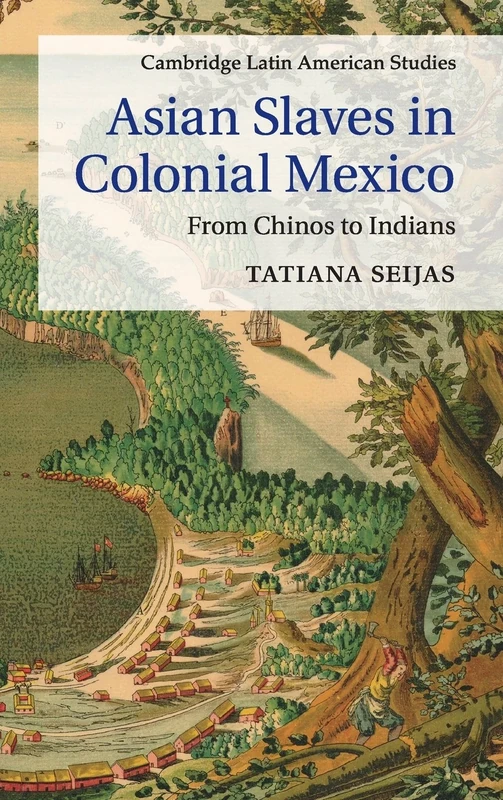 Asian Slaves in Colonial Mexico: From Chinos to Indians: 100 (Cambridge Latin American Studies, Series Number 100)