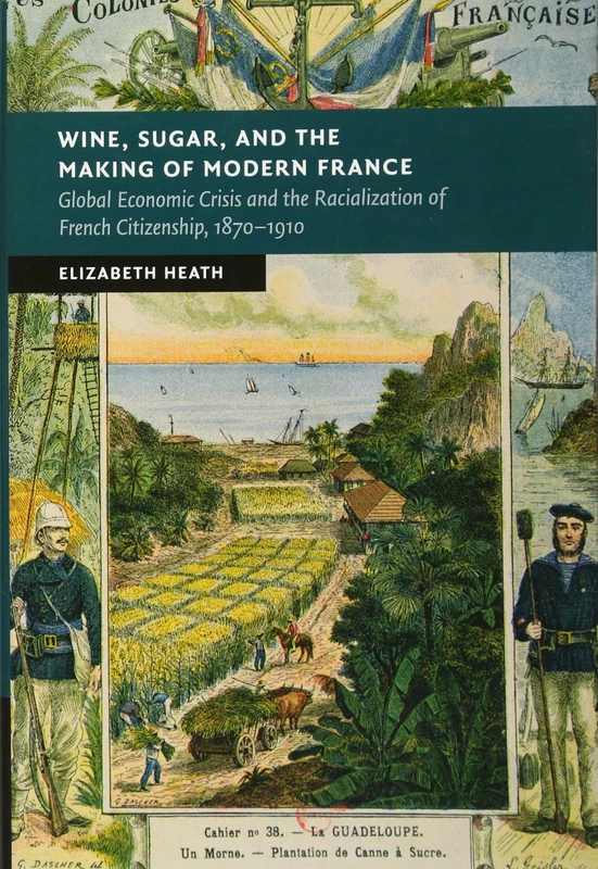 Wine, Sugar, and the Making of Modern France: Global Economic Crisis and the Racialization of French Citizenship, 1870–1910 (New Studies in European History)
