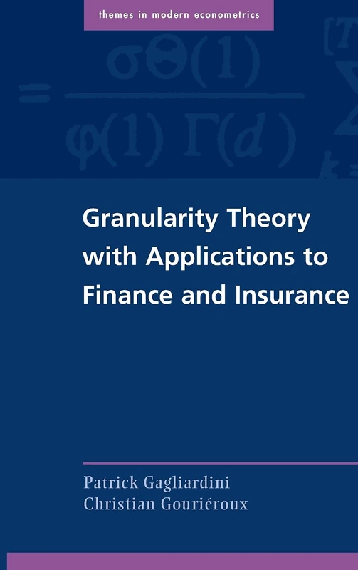 Granularity Theory with Applications to Finance and Insurance (Themes in Modern Econometrics) - Image 1