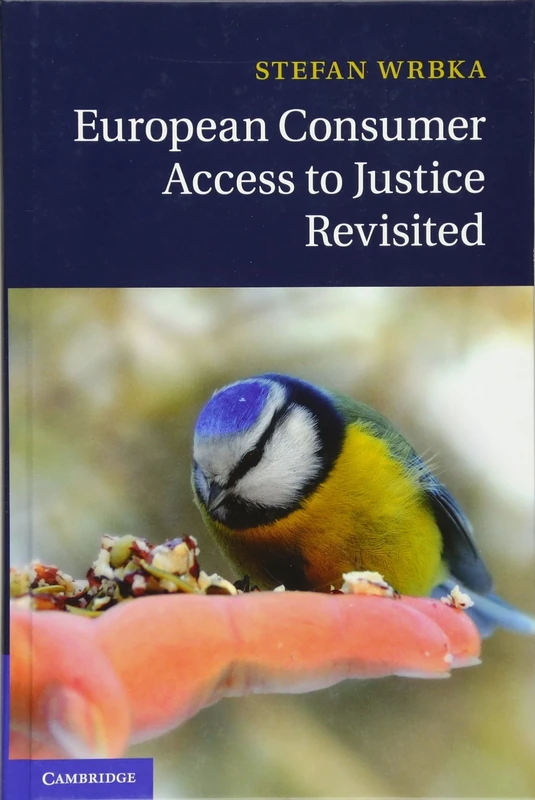 European Consumer Access to Justice Revisited