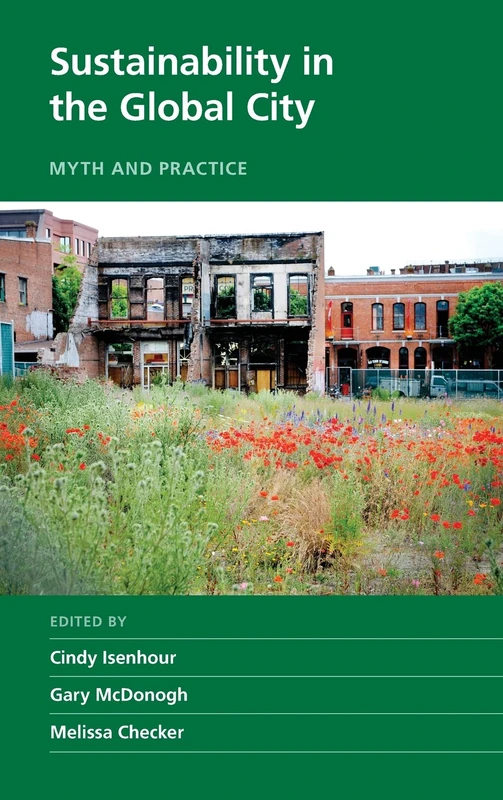 Sustainability in the Global City: Myth and Practice (New Directions in Sustainability and Society)