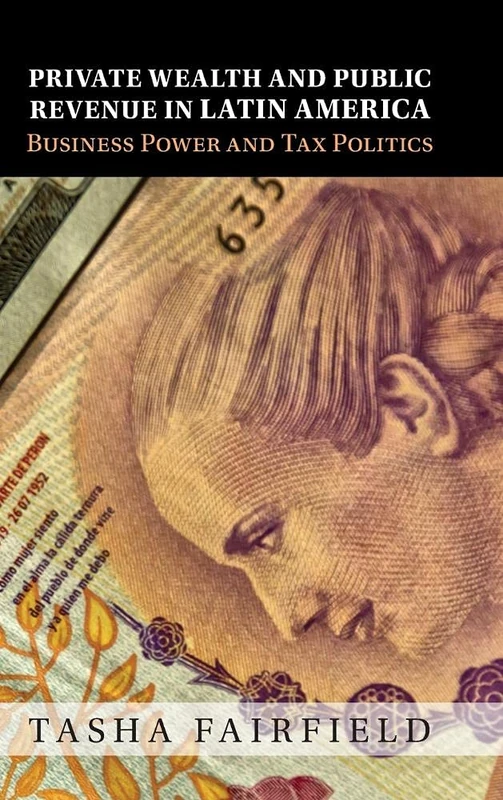 Private Wealth and Public Revenue in Latin America: Business Power and Tax Politics - Image 1