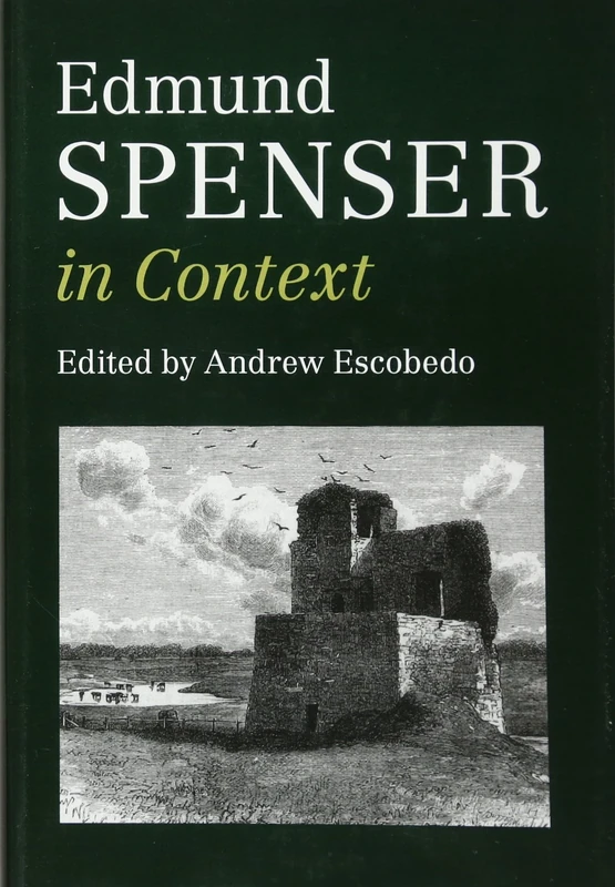 Edmund Spenser in Context (Literature in Context)