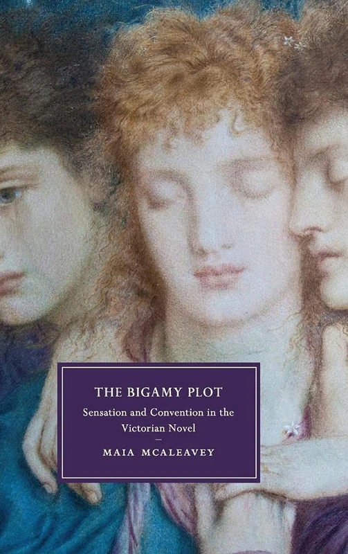 The Bigamy Plot: Sensation and Convention in the Victorian Novel: 100 (Cambridge Studies in Nineteenth-Century Literature and Culture, Series Number 100)