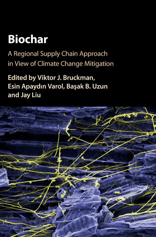 Biochar: A Regional Supply Chain Approach in View of Climate Change Mitigation