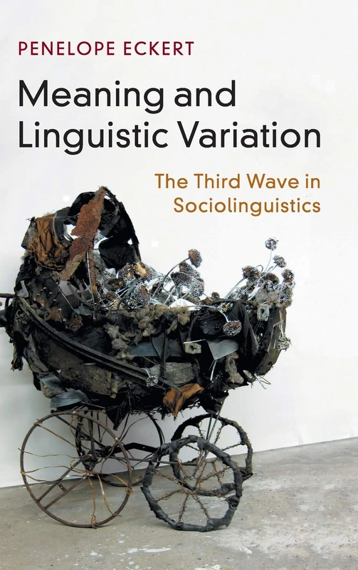 Meaning and Linguistic Variation: The Third Wave in Sociolinguistics - Image 1