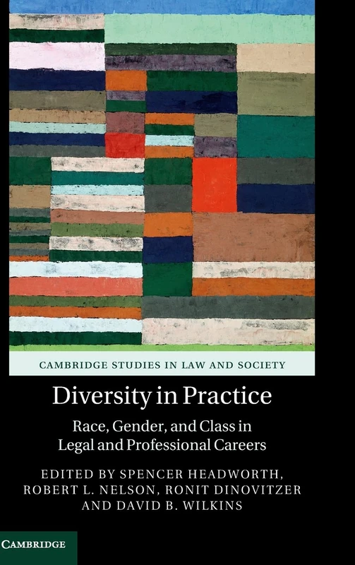 Diversity in Practice: Race, Gender, and Class in Legal and Professional Careers (Cambridge Studies in Law and Society)
