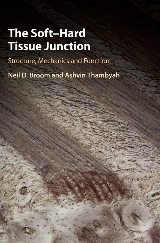 The Soft–Hard Tissue Junction: Structure, Mechanics and Function