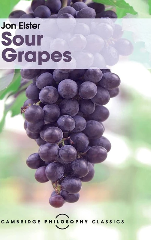 Sour Grapes: Studies in the Subversion of Rationality (Cambridge Philosophy Classics) - Image 1