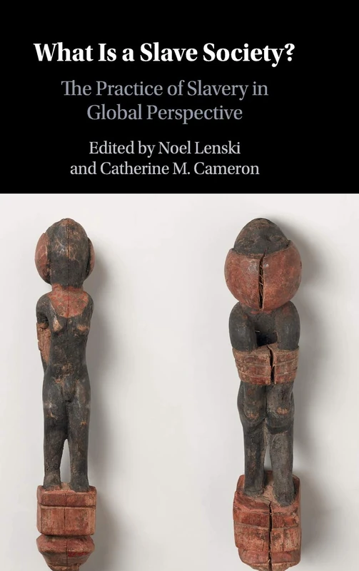 What Is a Slave Society?: The Practice of Slavery in Global Perspective - Image 1