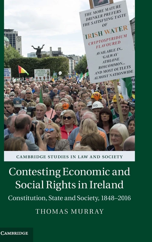 Contesting Economic and Social Rights in Ireland: Constitution, State and Society, 1848–2016 (Cambridge Studies in Law and Society)