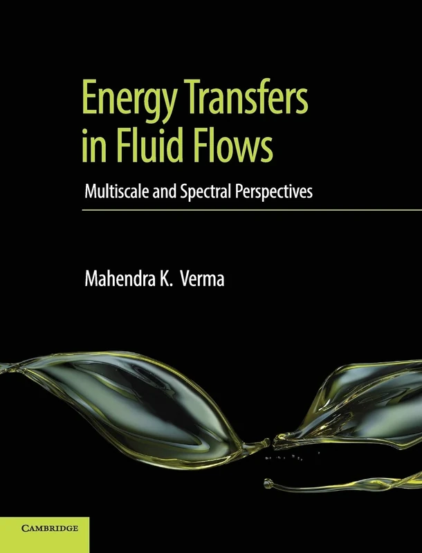 Energy Transfers in Fluid Flows: Multiscale and Spectral Perspectives