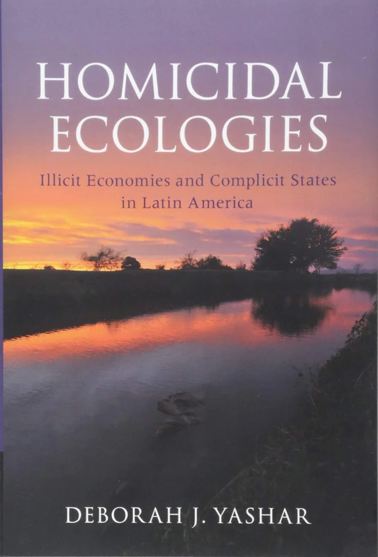 Homicidal Ecologies: Illicit Economies and Complicit States in Latin America (Cambridge Studies in Comparative Politics)