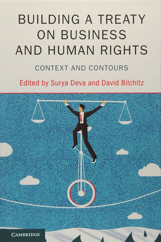 Building a Treaty on Business and Human Rights: Context and Contours