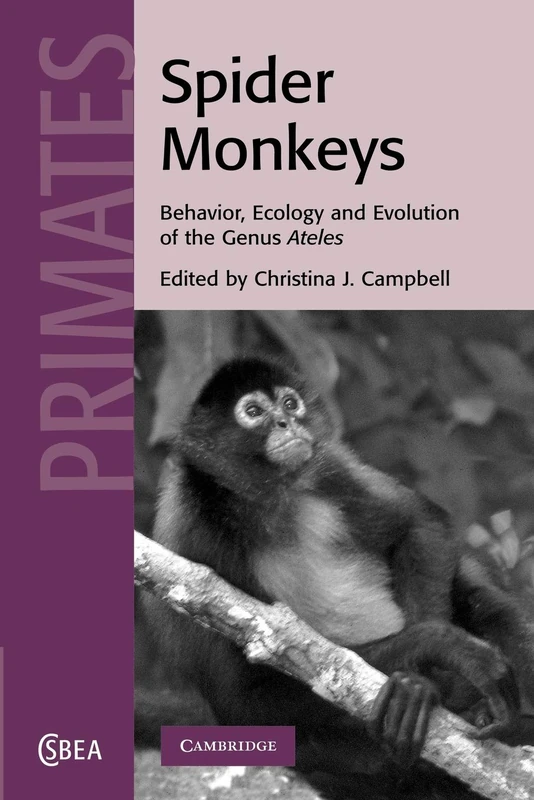 Spider Monkeys: Behavior and Ecology and Evaluation of the Genus Ateles: 55 (Cambridge Studies in Biological and Evolutionary Anthropology, Series Number 55)