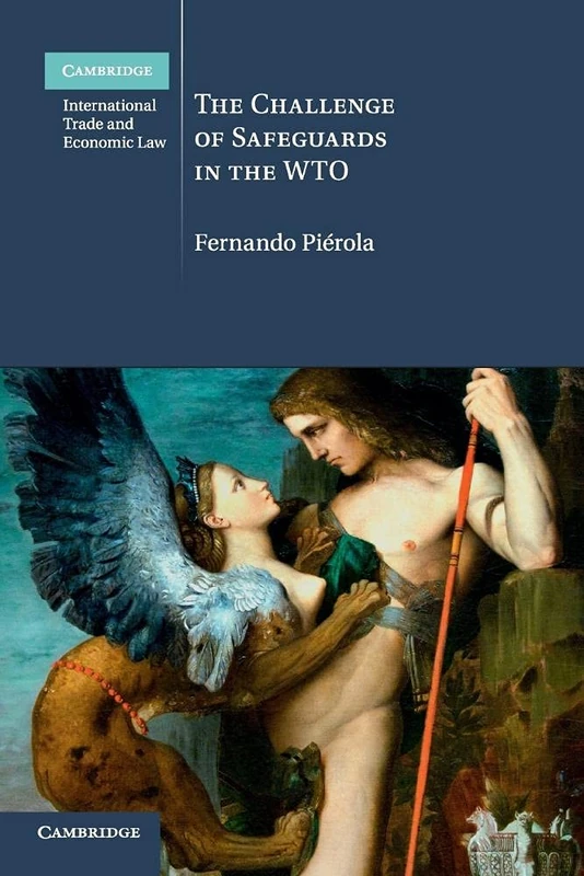 The Challenge of Safeguards in the WTO: 14 (Cambridge International Trade and Economic Law, Series Number 14)