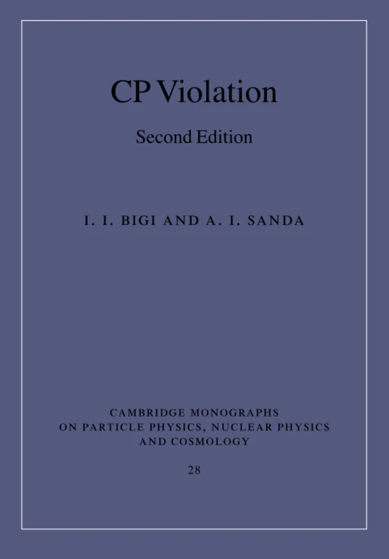 CP Violation
