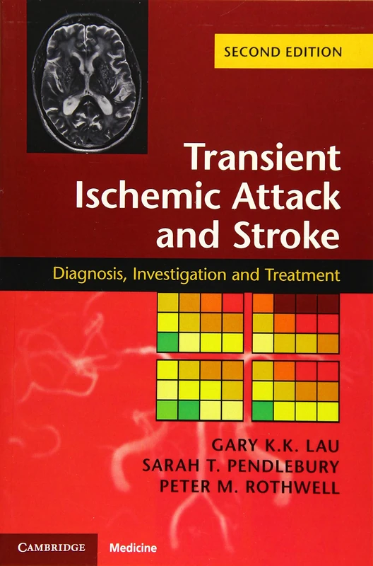 Transient Ischemic Attack and Stroke: Diagnosis, Investigation and Treatment